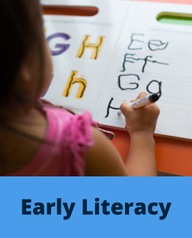 Card with text: Early Literacy